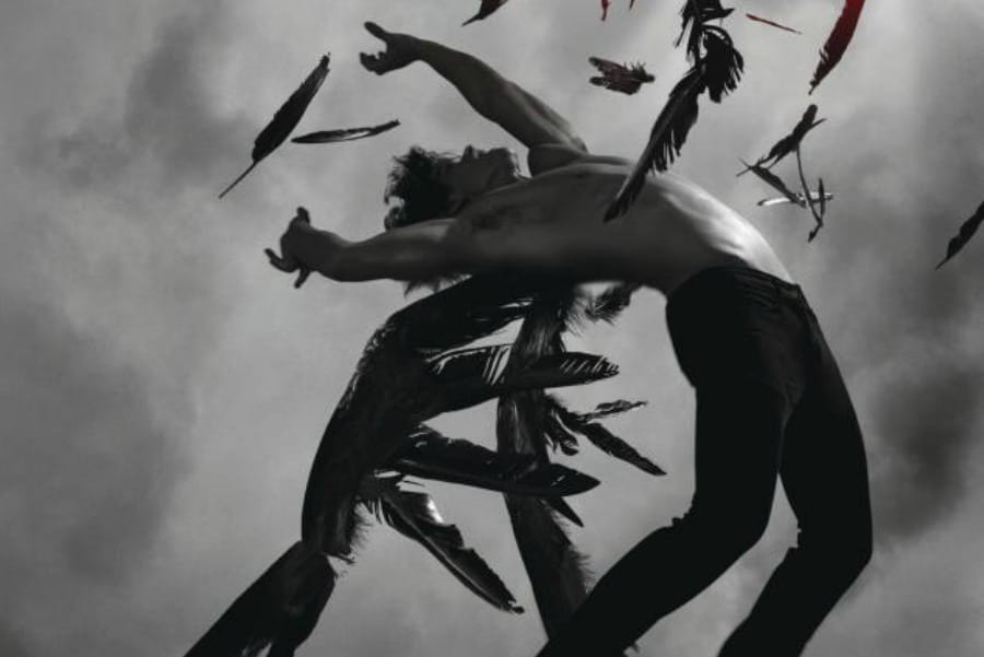 cover image